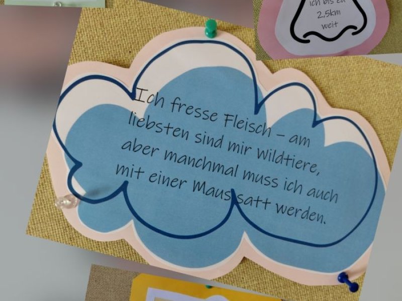 Schuljahr 2026/27 - Wer bin ich?